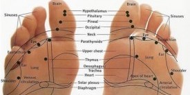 Reflexpunten op de voet
